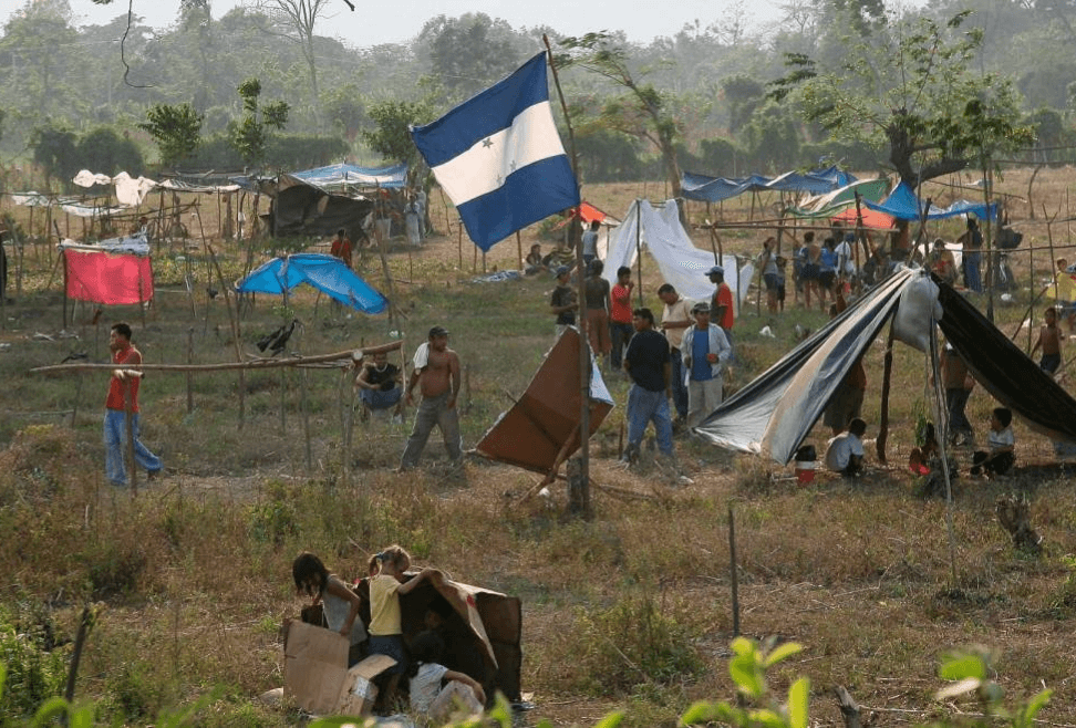 Pérdidas de L60 mil millones dejan las invasiones de tierras en Honduras