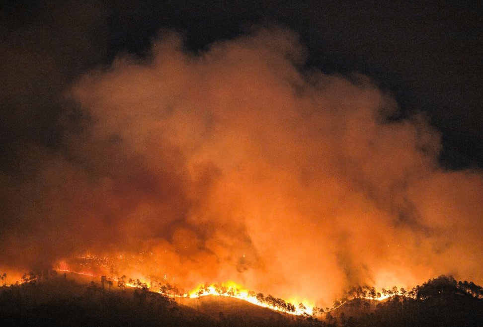 Honduras registra este año más de 4.800 hectáreas afectadas por 146 incendios forestales