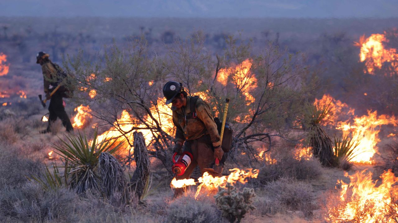 Fuertes incendios forestales mantienen en alerta a Nuevo México y California