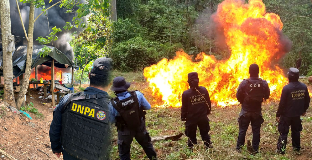 Queman 80,000 arbustos de coca y laboratorio en Honduras