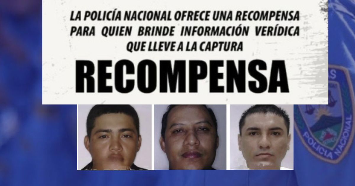 Policía ofrece recompensa por desapariciones en Baracoa y un caso en San Pedro Sula (video)