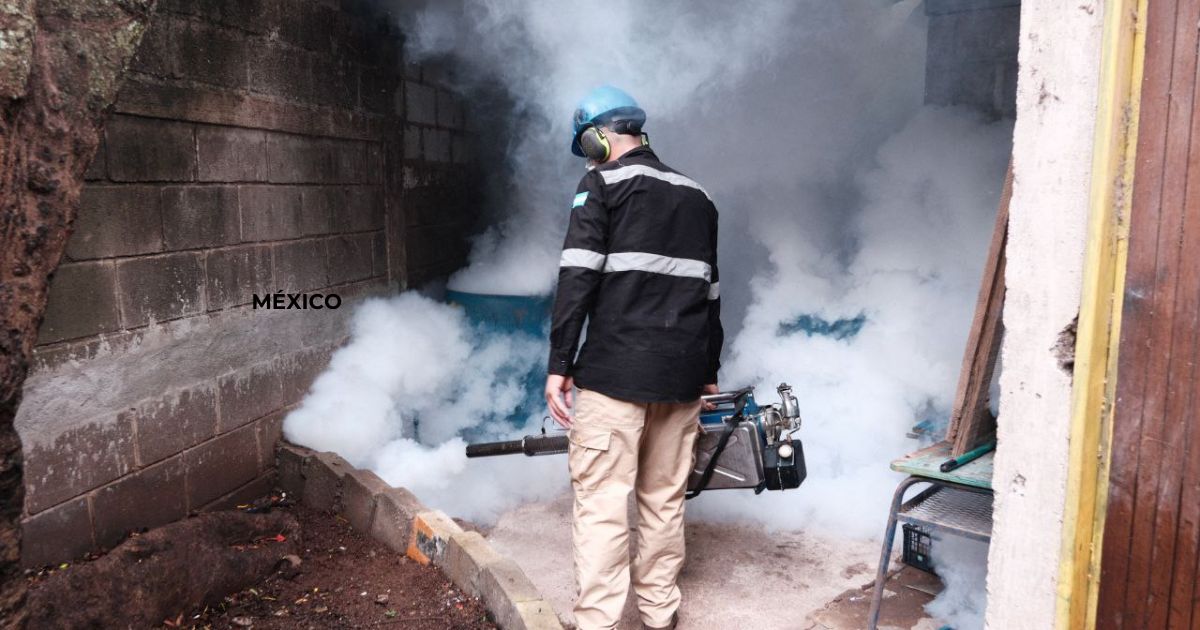 SESAL combate dengue, zika y chikungunya en Tegucigalpa: