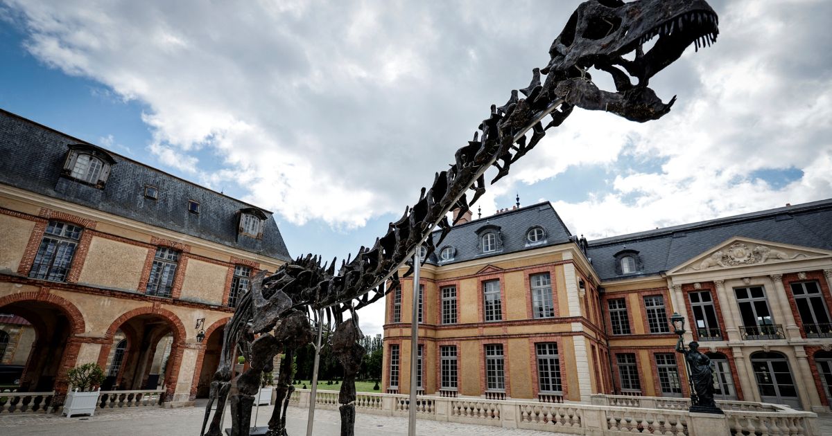 Francia subastará fósil del dinosaurio más grande de la historia