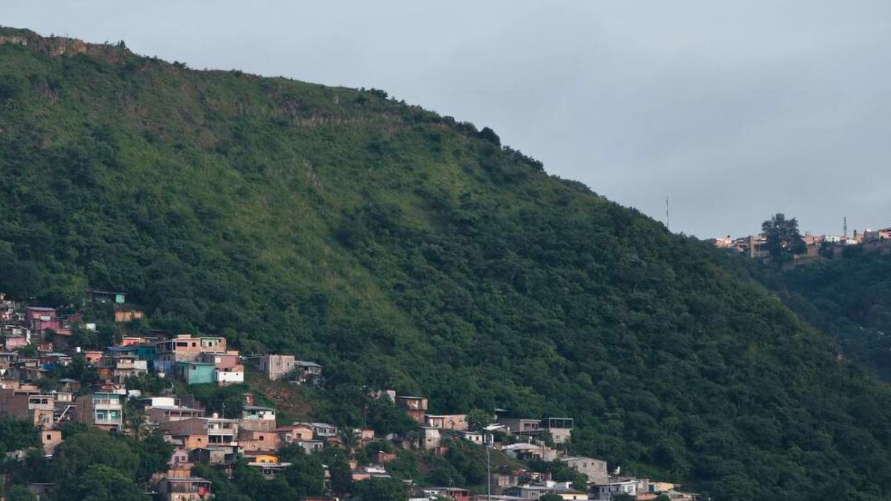 lluvias con actividad eléctrica en la mayor parte del territorio (video)