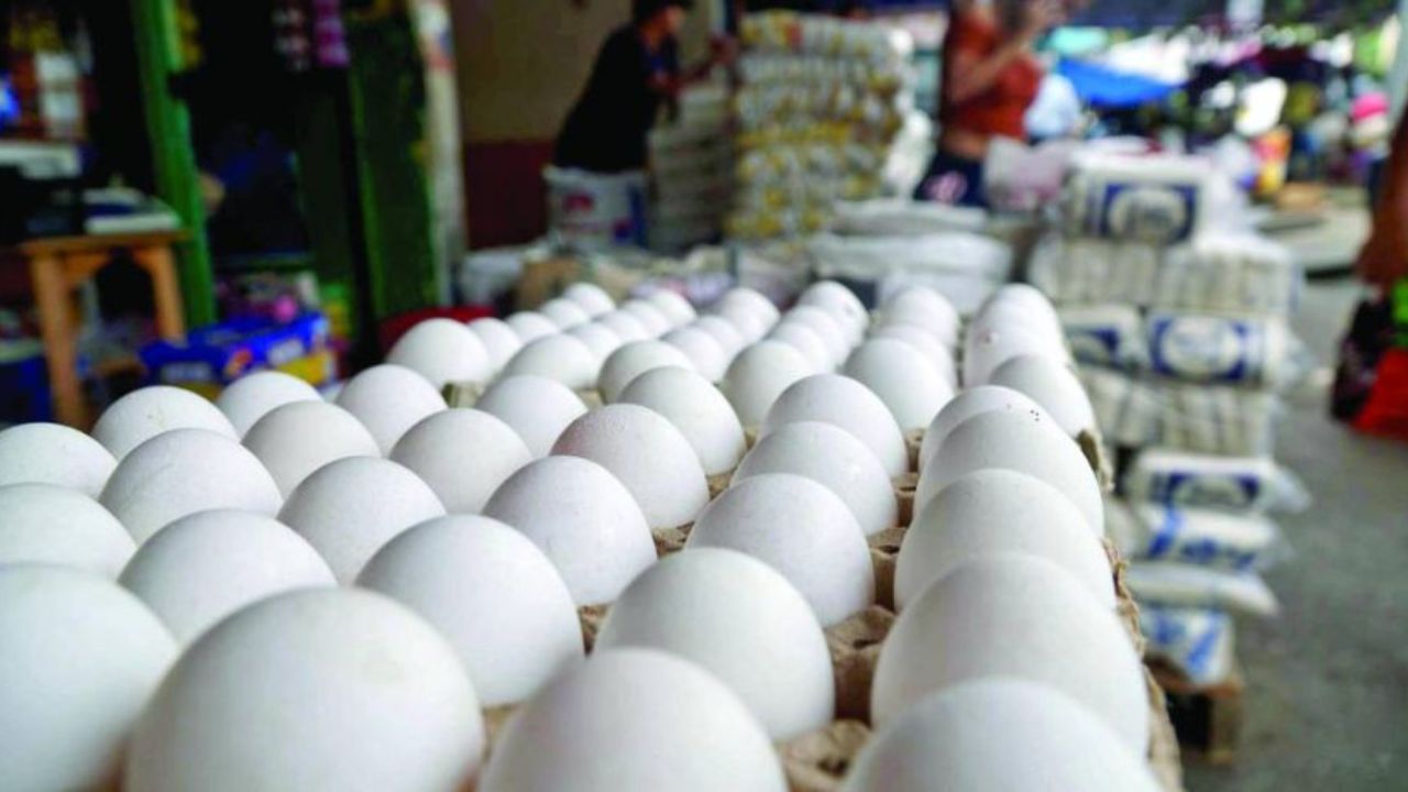 “Huevos en las nubes”: Aumento de precio en la capital (video)