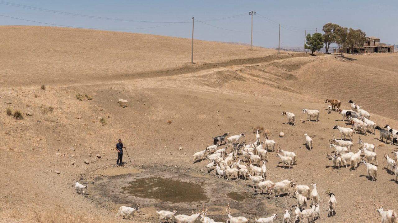 Protesta por agua en Sicilia