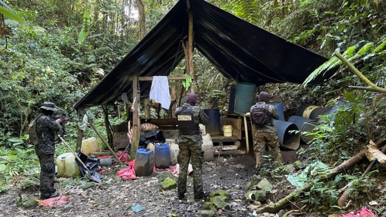 FF. AA. decomisan 124,000 arbustos de hoja de coca en Gracias a Dios